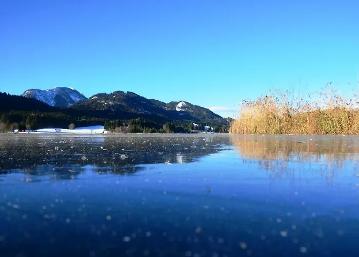 Possnig-haus הרמגור